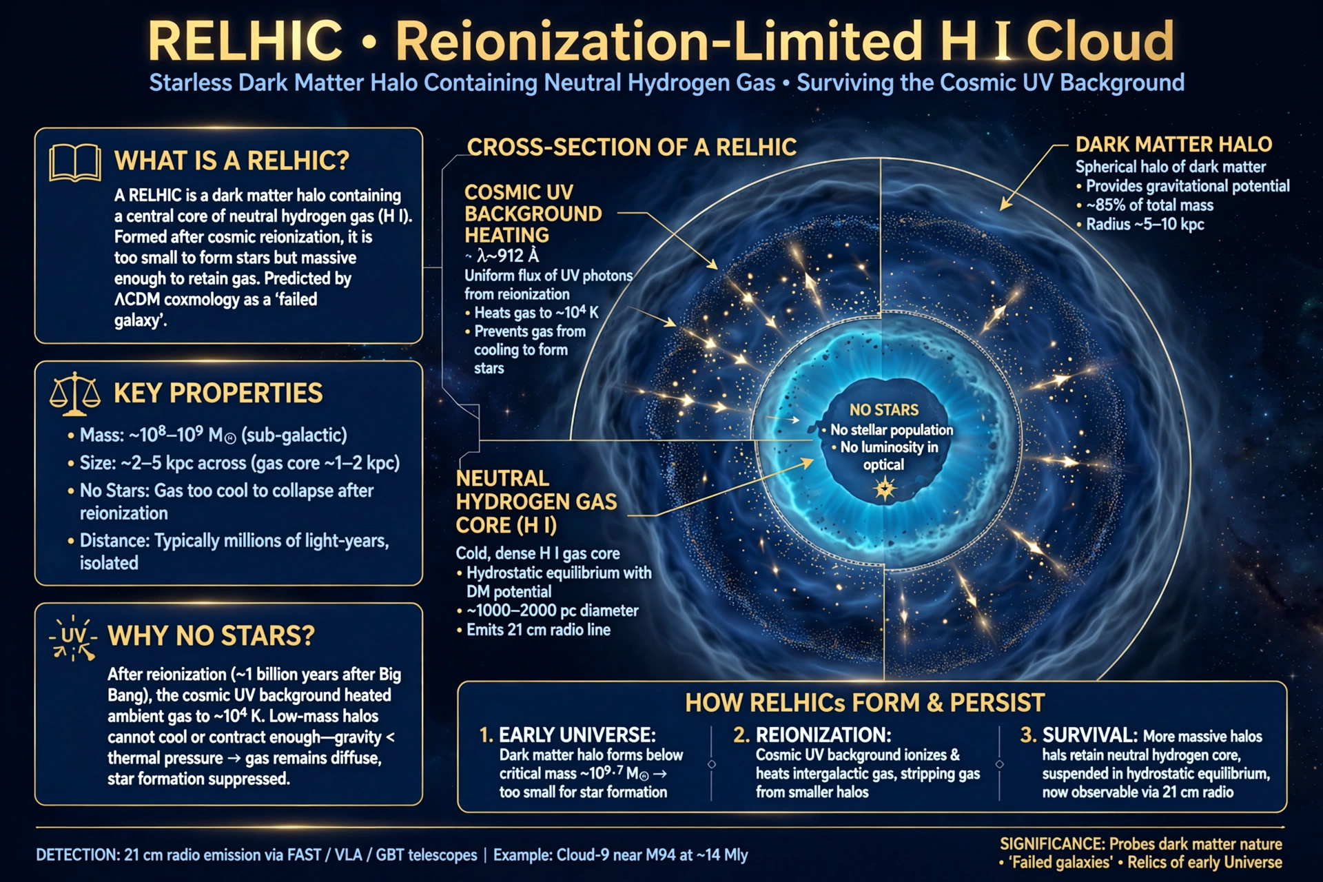 What is a RELHIC? The Galaxy With Almost No Stars